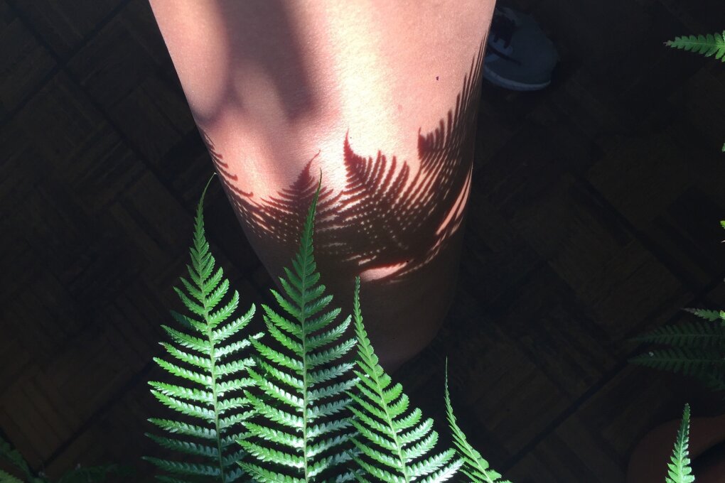 Plant Readers